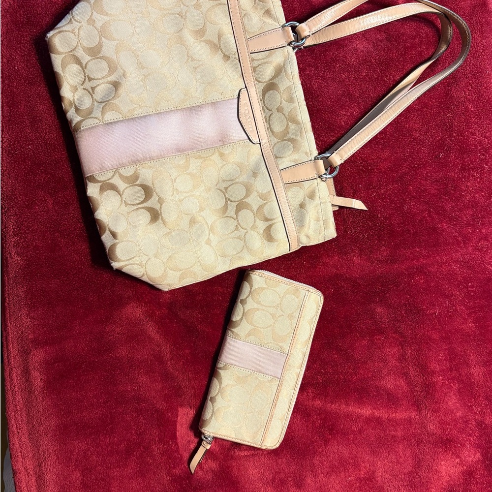 Coach Elegant Large Purse and Wallet Set